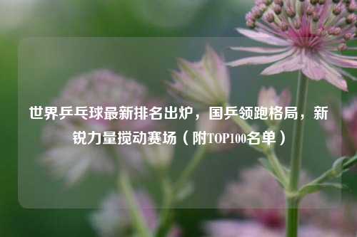 世界乒乓球最新排名出炉，国乒领跑格局，新锐力量搅动赛场（附TOP100名单）