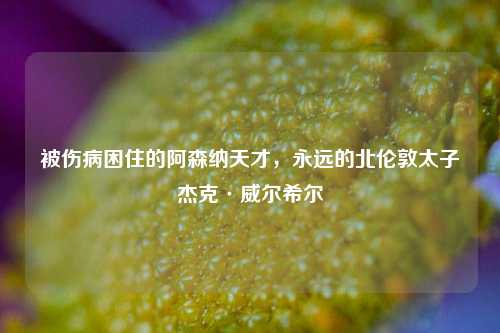 被伤病困住的阿森纳天才，永远的北伦敦太子杰克·威尔希尔
