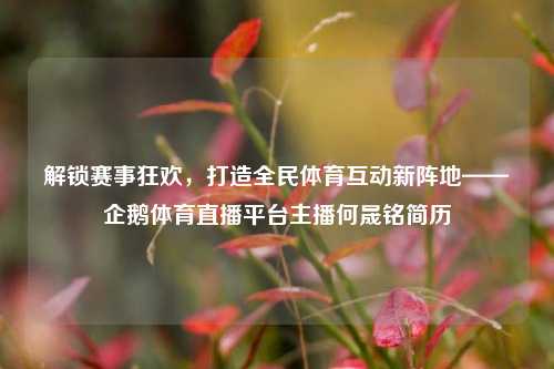 解锁赛事狂欢，打造全民体育互动新阵地——企鹅体育直播平台主播何晟铭简历