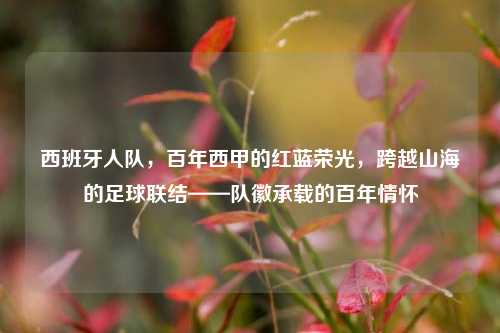 西班牙人队，百年西甲的红蓝荣光，跨越山海的足球联结——队徽承载的百年情怀