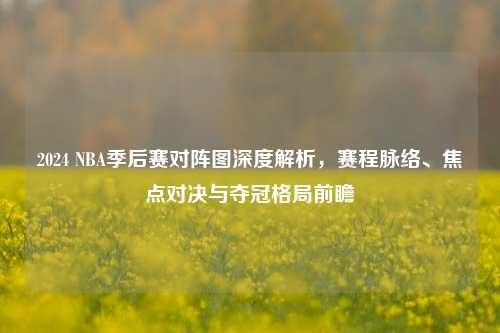 2024 NBA季后赛对阵图深度解析，赛程脉络、焦点对决与夺冠格局前瞻