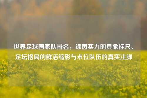 世界足球国家队排名,绿茵实力的具象标尺、足坛格局的鲜活缩影与末位队伍的真实注脚