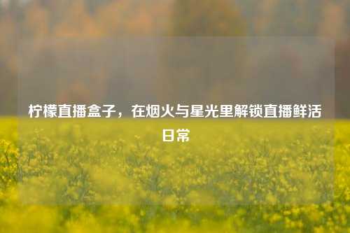 柠檬直播盒子，在烟火与星光里解锁直播鲜活日常