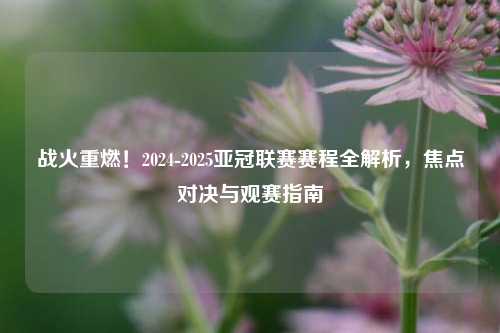 战火重燃!2024-2025亚冠联赛赛程全解析,焦点对决与观赛指南