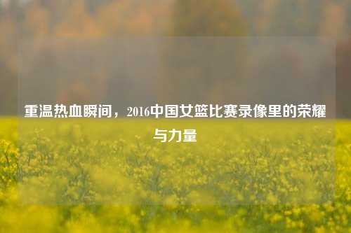 重温热血瞬间，2016中国女篮比赛录像里的荣耀与力量