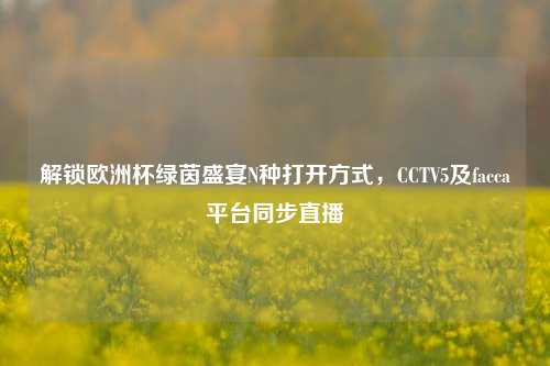 解锁欧洲杯绿茵盛宴N种打开方式，CCTV5及facca平台同步直播
