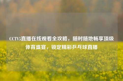 CCTV5直播在线观看全攻略，随时随地畅享顶级体育盛宴，锁定精彩乒乓球直播