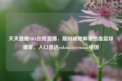 天天直播NBA在线直播,随时随地解锁热血篮球盛宴,入口直达rukou.xinyemian.中国