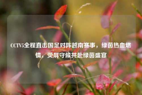 CCTV5全程直击国足对阵越南赛事，绿茵热血燃情，荧屏守候共赴绿茵盛宴