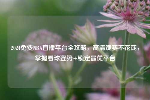 2024免费NBA直播平台全攻略,高清观赛不花钱,掌握看球姿势+锁定最优平台