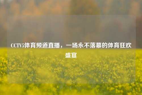 CCTV5体育频道直播，一场永不落幕的体育狂欢盛宴