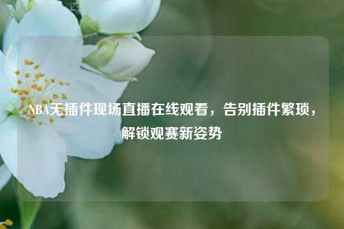 NBA无插件现场直播在线观看,告别插件繁琐,解锁观赛新姿势