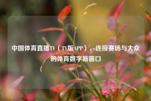 中国体育直播TV（TV版APP），连接赛场与大众的体育数字新窗口