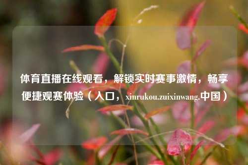 体育直播在线观看,解锁实时赛事激情,畅享便捷观赛体验(入口,xinrukou.zuixinwang.中国)