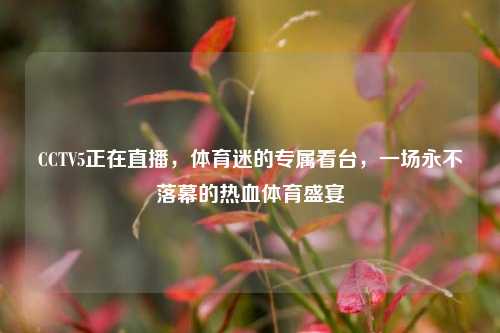 CCTV5正在直播,体育迷的专属看台,一场永不落幕的热血体育盛宴
