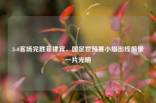 3-0客场完胜菲律宾,国足世预赛小组出线前景一片光明