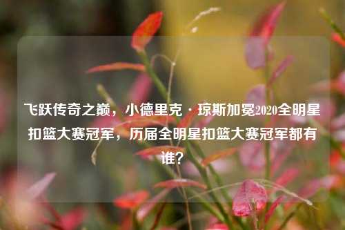 飞跃传奇之巅，小德里克·琼斯加冕2020全明星扣篮大赛冠军，历届全明星扣篮大赛冠军都有谁？