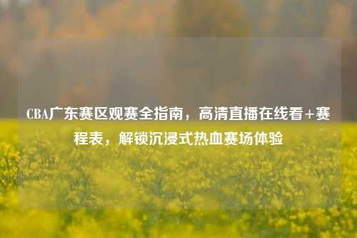 CBA广东赛区观赛全指南,高清直播在线看+赛程表,解锁沉浸式热血赛场体验