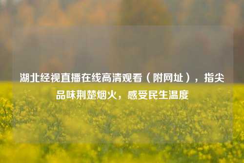湖北经视直播在线高清观看（附网址），指尖品味荆楚烟火，感受民生温度