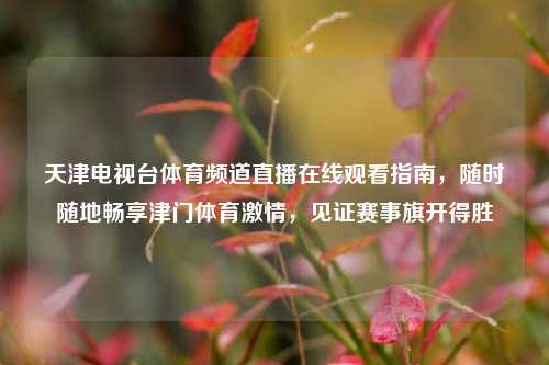 天津电视台体育频道直播在线观看指南,随时随地畅享津门体育激情,见证赛事旗开得胜