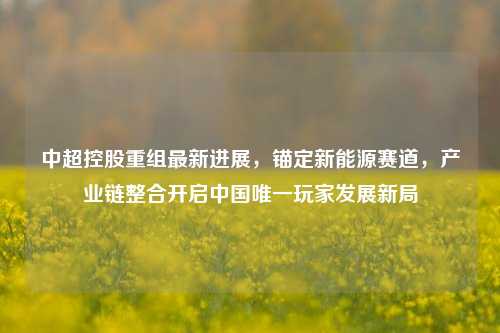 中超控股重组最新进展，锚定新能源赛道，产业链整合开启中国唯一玩家发展新局
