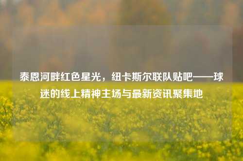 泰恩河畔红色星光，纽卡斯尔联队贴吧——球迷的线上精神主场与最新资讯聚集地