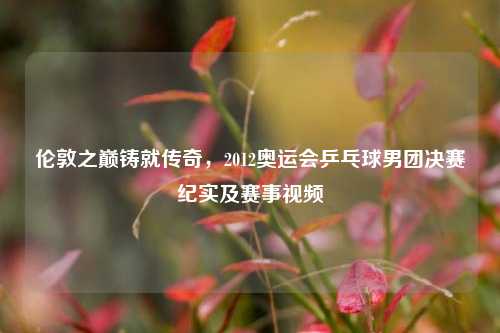 伦敦之巅铸就传奇，2012奥运会乒乓球男团决赛纪实及赛事视频