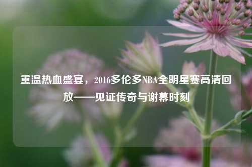 重温热血盛宴,2016多伦多NBA全明星赛高清回放——见证传奇与谢幕时刻