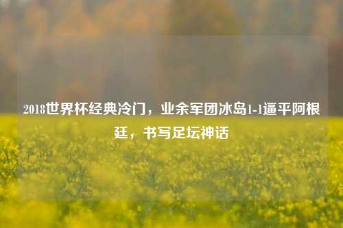 2018世界杯经典冷门，业余军团冰岛1-1逼平阿根廷，书写足坛神话