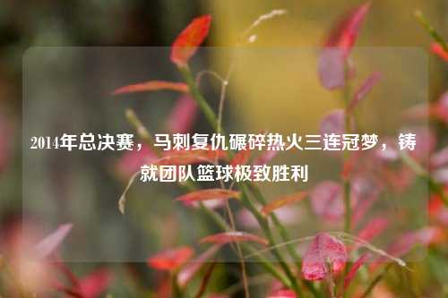 2014年总决赛,马刺复仇碾碎热火三连冠梦,铸就团队篮球极致胜利