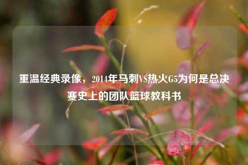 重温经典录像，2014年马刺VS热火G5为何是总决赛史上的团队篮球教科书