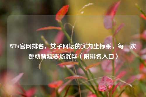 WTA官网排名，女子网坛的实力坐标系，每一次跳动皆藏赛场沉浮（附排名入口）