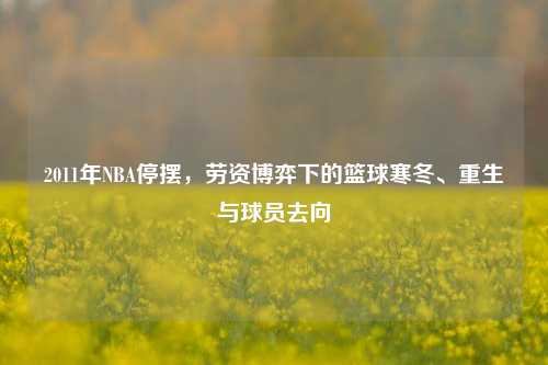 2011年NBA停摆，劳资博弈下的篮球寒冬、重生与球员去向