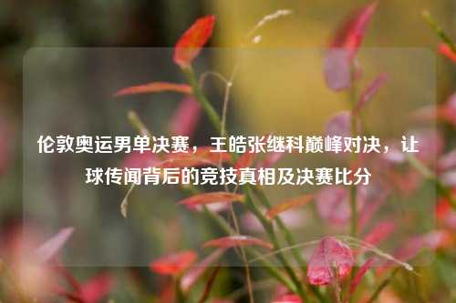 伦敦奥运男单决赛，王皓张继科巅峰对决，让球传闻背后的竞技真相及决赛比分