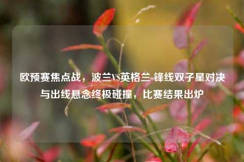 欧预赛焦点战,波兰VS英格兰 锋线双子星对决与出线悬念终极碰撞,比赛结果出炉
