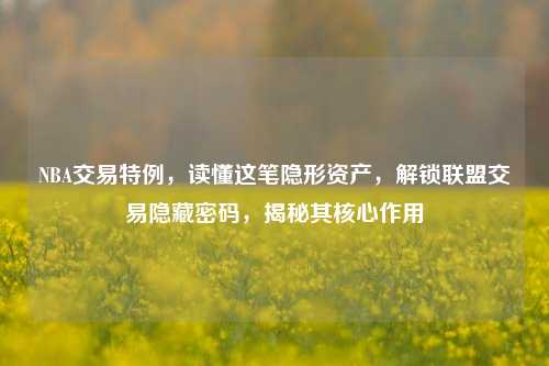 NBA交易特例，读懂这笔隐形资产，解锁联盟交易隐藏密码，揭秘其核心作用