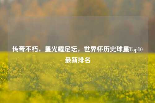 传奇不朽，星光耀足坛，世界杯历史球星Top10最新排名