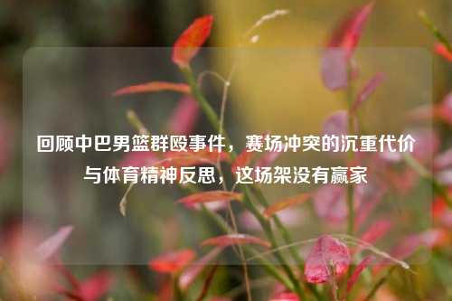 回顾中巴男篮群殴事件，赛场冲突的沉重代价与体育精神反思，这场架没有赢家
