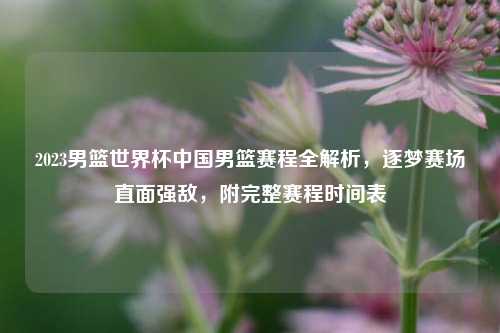 2023男篮世界杯中国男篮赛程全解析，逐梦赛场直面强敌，附完整赛程时间表