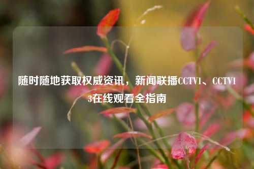 随时随地获取权威资讯，新闻联播CCTV1、CCTV13在线观看全指南