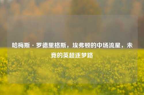 哈梅斯·罗德里格斯,埃弗顿的中场流星,未竟的英超逐梦路