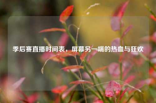 季后赛直播时间表,屏幕另一端的热血与狂欢