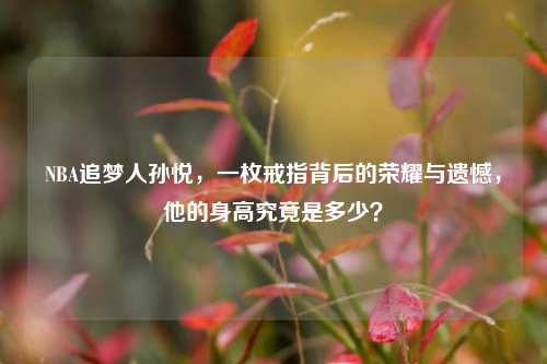 NBA追梦人孙悦，一枚戒指背后的荣耀与遗憾，他的身高究竟是多少？