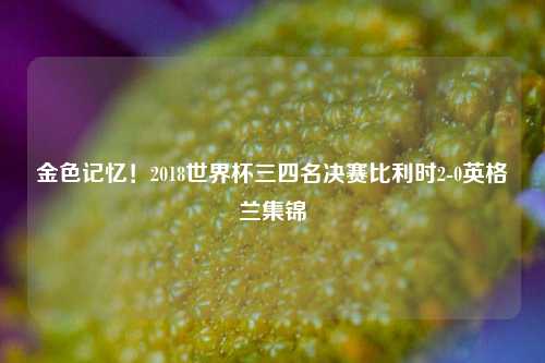 金色记忆！2018世界杯三四名决赛比利时2-0英格兰集锦