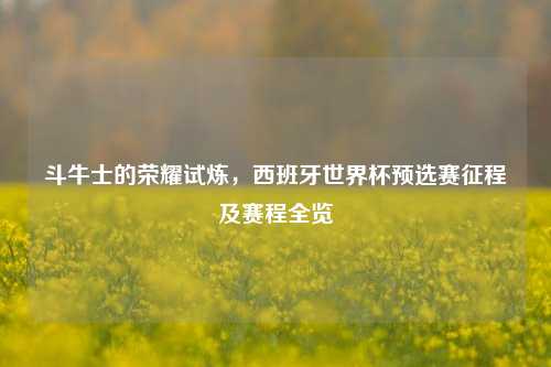 斗牛士的荣耀试炼，西班牙世界杯预选赛征程及赛程全览
