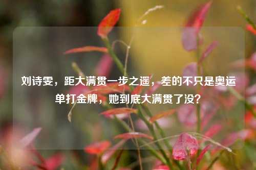 刘诗雯，距大满贯一步之遥，差的不只是奥运单打金牌，她到底大满贯了没？