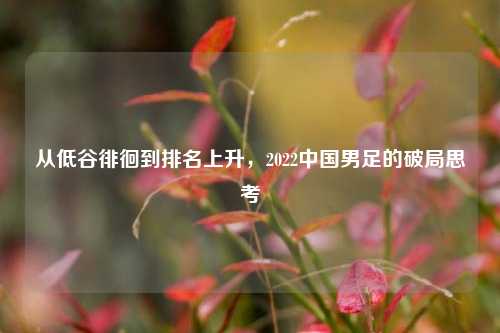 从低谷徘徊到排名上升，2022中国男足的破局思考