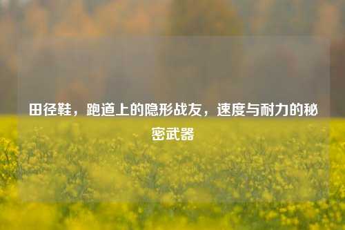 田径鞋，跑道上的隐形战友，速度与耐力的秘密武器