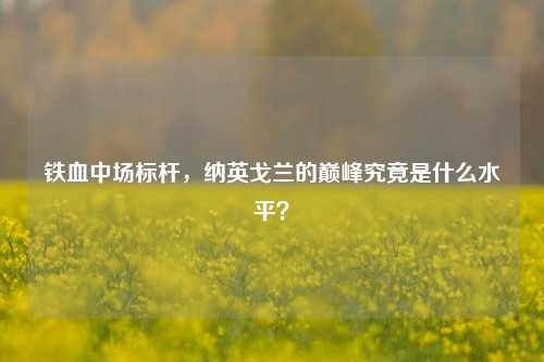 铁血中场标杆，纳英戈兰的巅峰究竟是什么水平？
