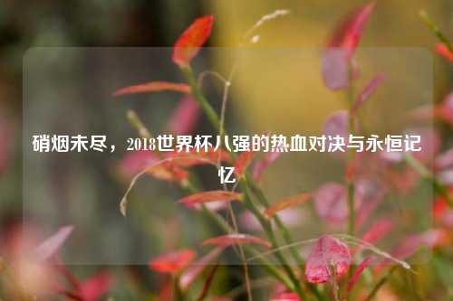 硝烟未尽,2018世界杯八强的热血对决与永恒记忆
